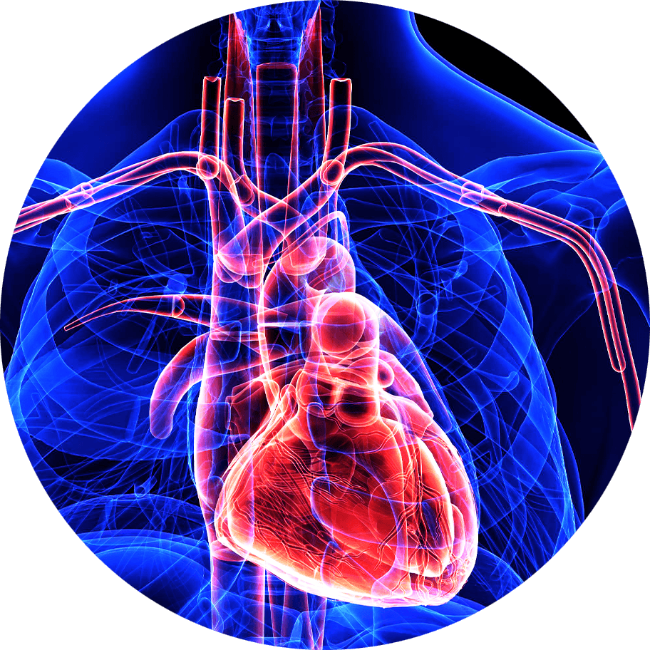 heart disease from sleep apnea